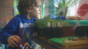 Devon Libraries and community groups unite for £1.5m climate action programme