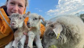 Devon councillor and farmer blasts spending review for neglecting rural communities