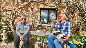 Devon charity appeals for new carers as Shared Lives week celebrates community impact