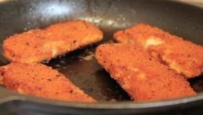 University of Plymouth pioneers sustainable ‘Plymouth Fish Finger’ for local schools