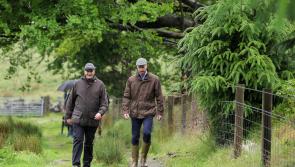 Prince William backs new Dartmoor landscape vision