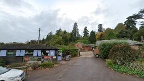 Bears escape from Devon wildlife park prompting police response