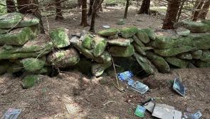 Abandoned tent and BBQ remains found at Dartmoor beauty spots amid rising concerns in Devon
