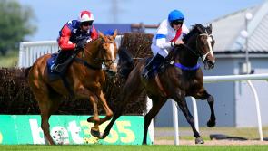 Newton Abbot Racecourse: Two more winning favourites for Paul Nicholls