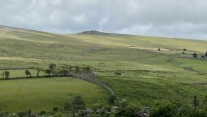 Urgent plan launched to ‘avoid redundancies’ at Dartmoor National Park