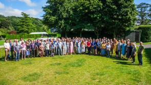 Devon charity launches major plan to plant 10 million native trees across Dartmoor by 2050