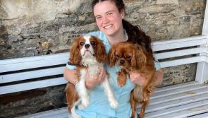 Devon vet nurse ‘begging to go home’ from Spanish hospital set to fly back today