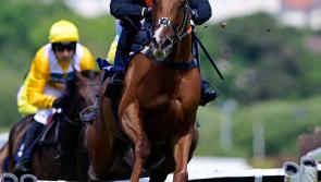 Punters enjoy the upper hand at Newton Races