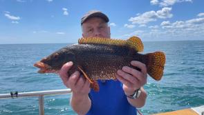 Ups and downs of angling in the summer