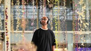 RAMM announces artists for groundbreaking 2026 exhibition Living Labyrinths: Art & Fungi