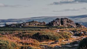 ‘Bigger and better than ever before’ – major Dartmoor festival kicks off this summer
