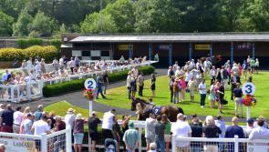 Betting tips and form ahead of another big day at Newton Abbot Races