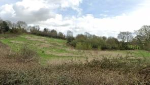 Major Devon housing scheme could see more than 1,000 homes on green fields