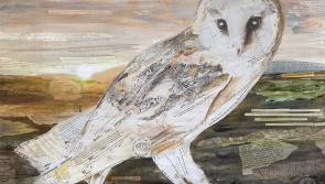Barn Owl Trust marks 40 years with unique art collaboration and fundraising puzzle