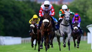 Exeter trainer Sue Gardner enjoys double on the day at Newton Abbot Races