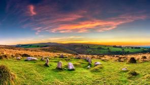 Wild about Dartmoor: August events bring nature, chocolate, and outdoor fun to the Moor