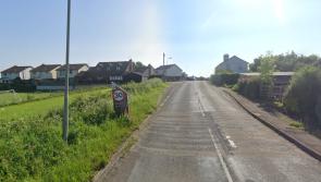 Appeal launched after horse suffers &lsquo;serious injuries&rsquo; near Dartmoor