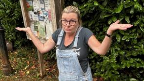 Manaton villagers left without lifeline as BT removes only phone box - twice