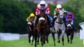 Newton Abbot Racecourse: Centara Completes Newton Abbot Hat-Trick