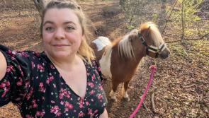 Shetland pony rescued by Devon charity finds new home after 'shocking' court case