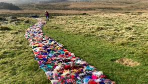 Devon communities weave ‘The Mossy Carpet’ into an 80 metre climate artwork