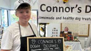 Exciting new market set to become a regular feature in Bovey Tracey