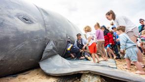 Seafest returns to Royal William Yard with a historic bicentenary celebration