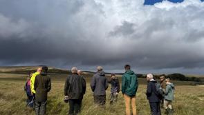 Farmers and Landowners meet in Postbridge to discuss Landscape Recovery