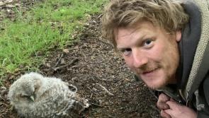 Speakers and performers announced for DPA Summer Gathering