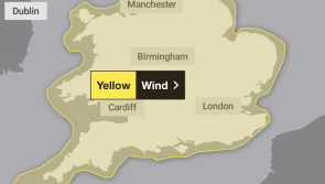 ALERT: Yellow weather warning issued by Met Office as strong winds set to hit Devon 
