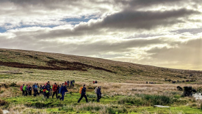 Major youth challenge sees 300+ walkers take on Dartmoor’s Abbots Way Walk