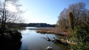 Devon council plans parking fee increases at popular country parks