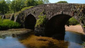 Dartmoor farmers invited to shape future of moorland management