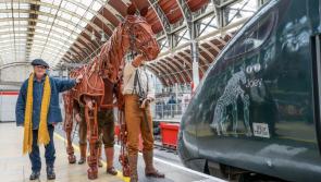 Devon-based author and War Horse star honoured by Great Western Railway