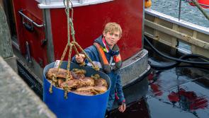 100 Apprenticeships in 100 days - that's the target for South Devon College in new campaign