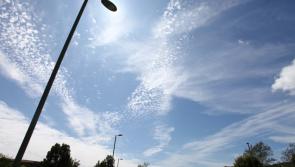 New street lights 'will save Torbay hundreds of thousands of pounds'