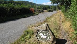 Devon emissions fall again as Dartmoor projects help drive countywide carbon cuts