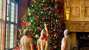 Bovey Castle launches festive &lsquo;Whodunnit&rsquo; campaign after iconic Christmas tree star goes missing