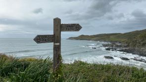 Project launched to protect rivers that feed North Devon’s surf ecosystem