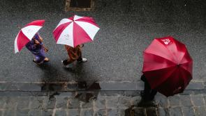 ALERT: Devon braces for heavy rain as yellow weather warning hits South West