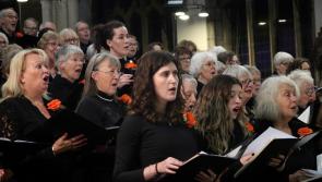 Plymouth Philharmonic perform perfectly