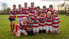 Bideford RFC young stars shine at Exeter Chiefs Rugby Festival