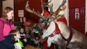 Pictures: Winter Wonderland and Fatstock festivities in South Molton