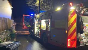 Storm Bram sparks emergency rescue in Teigngrace as car submerged in floodwater