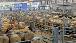 Green light given for multi-million agri-business centre in Torridge