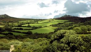 Major milestone for Dartmoor village as construction of new community hall gets underway
