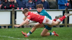 Boxing Day bonanza of rugby across the North Devon clubs