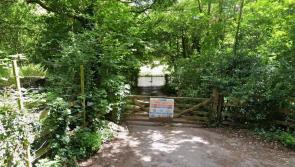 Raw sewage flowed into Devon river for more than 3,500 hours in one year