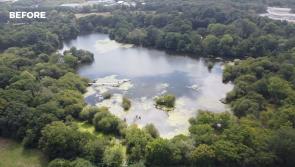 VIDEO: Trees saved for now in Devon town as quarry campaigners remain wary