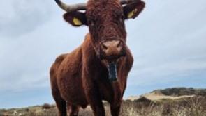 How &pound;700,000 is helping North Devon farms transform for nature and climate